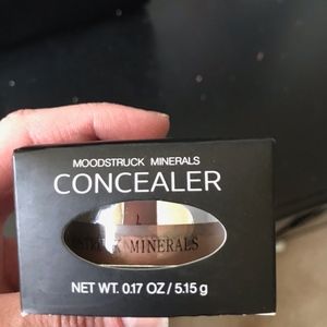 Younique Mineral Concealer in Fierce